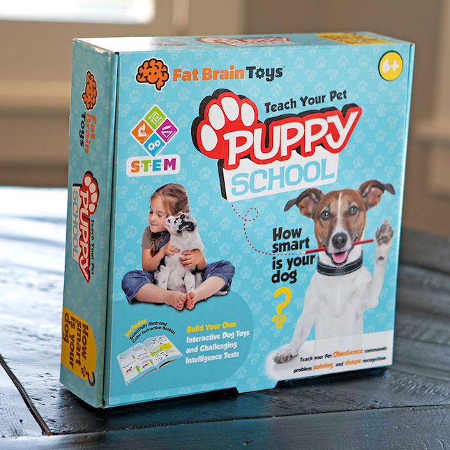 Image of Puppy School